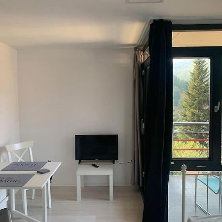 Gemuetliches Einzimmer-Apartment 33 Bad Wildbad Extérieur photo