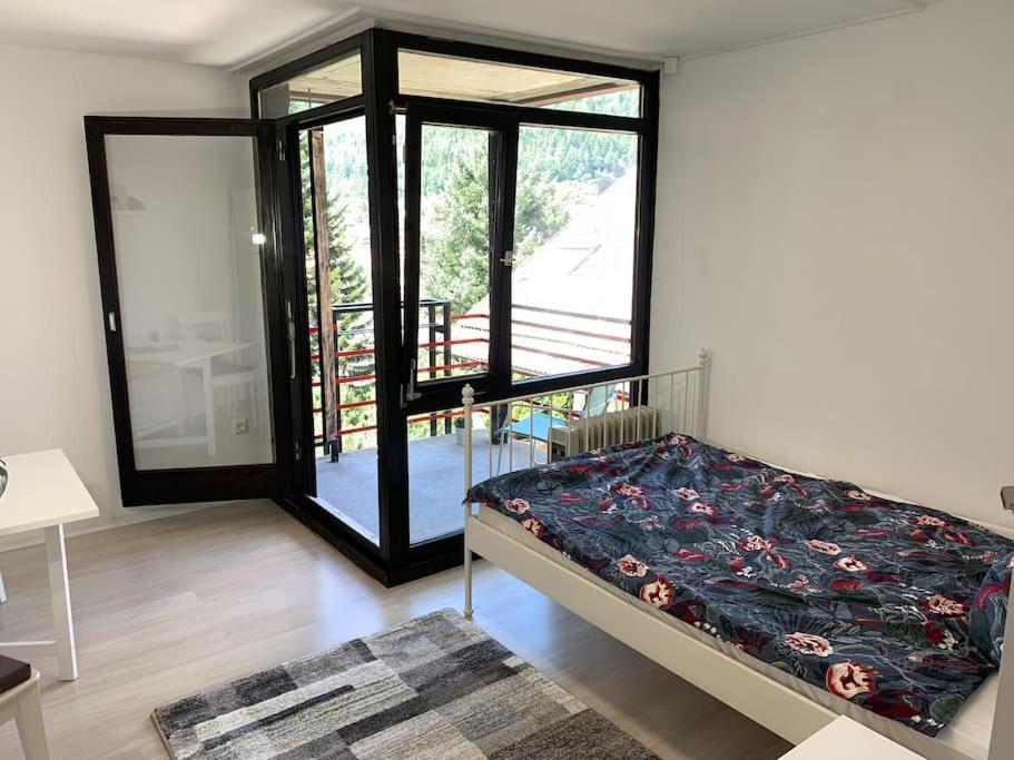 Gemuetliches Einzimmer-Apartment 33 Bad Wildbad Extérieur photo