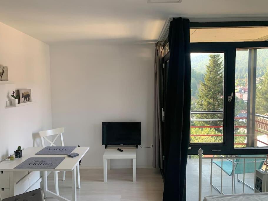 Gemuetliches Einzimmer-Apartment 33 Bad Wildbad Extérieur photo