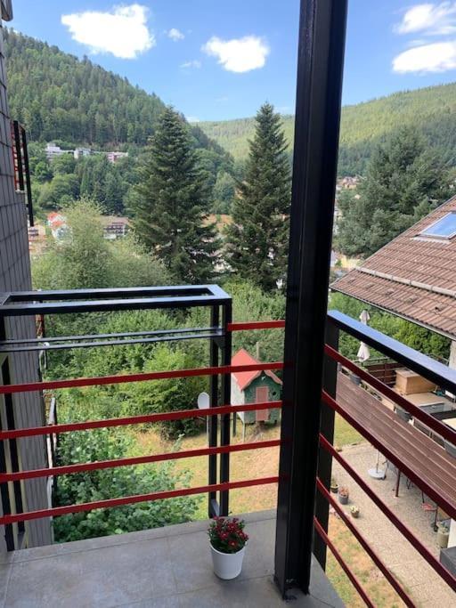 Gemuetliches Einzimmer-Apartment 33 Bad Wildbad Extérieur photo